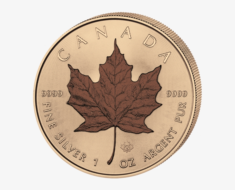 Four Seasons Set - Maple Leaf, transparent png download