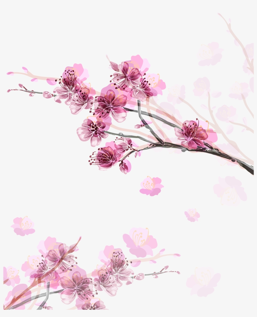 Png Royalty Free Library Paper Cherry Blossom Flower - Florals Png Cherry Blossom, transparent png download