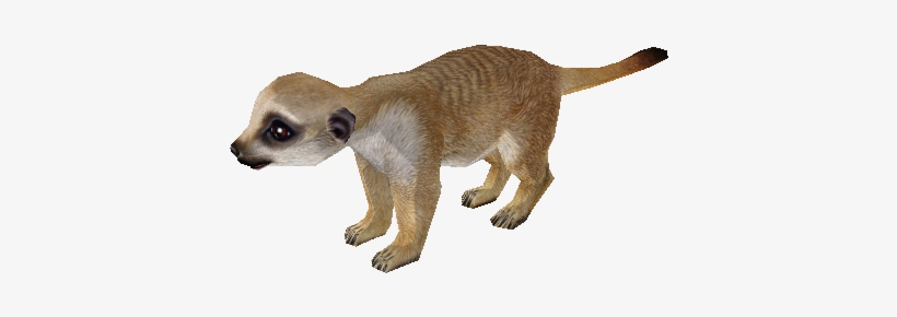 Download Zip Archive - Meerkat, transparent png download