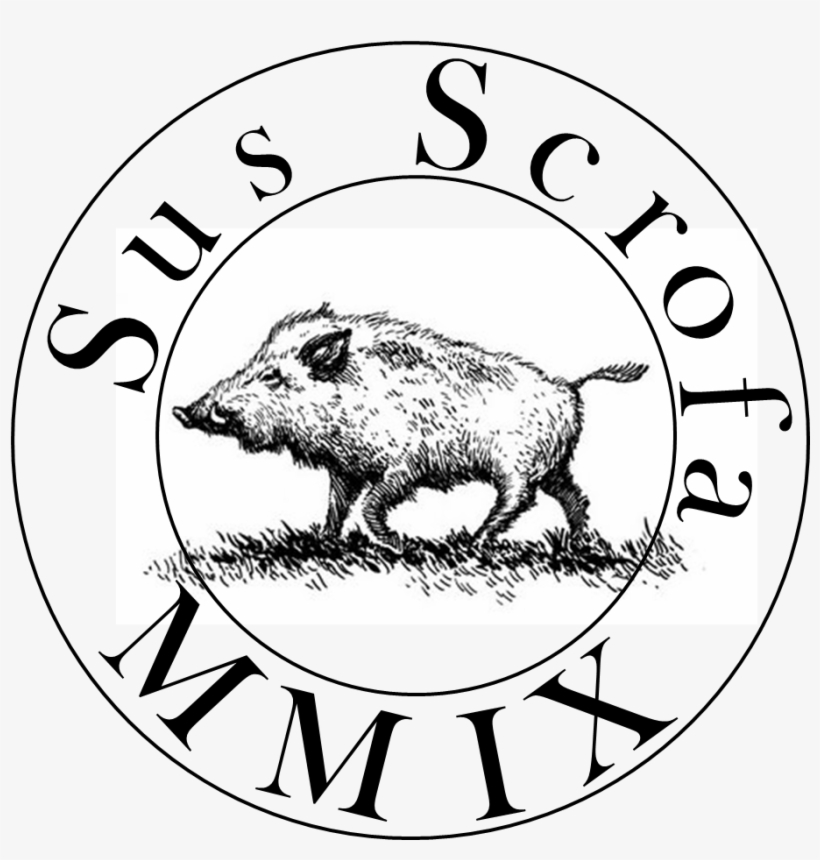 Wild Boar Drawing, transparent png download