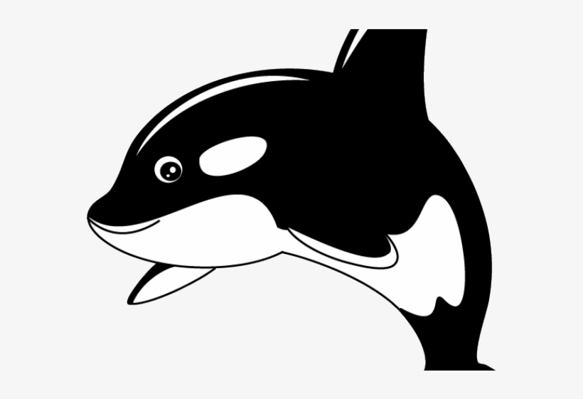 Sperm Whale Clipart Transparent - Killer Whale Cartoon Png, transparent png download