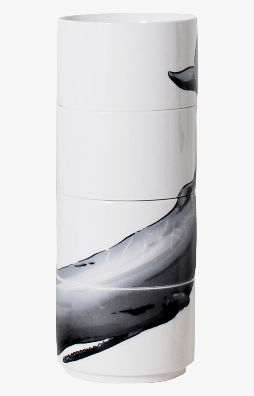 Beluga Whale, transparent png download