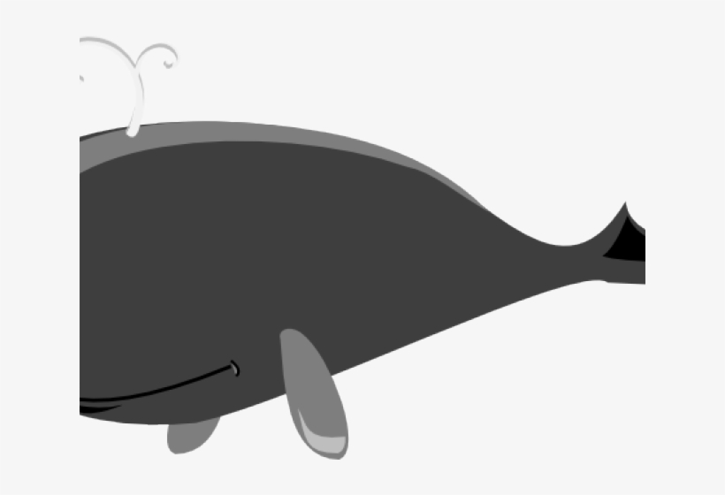 Sperm Whale Clipart Transparent - Killer Whale, transparent png download