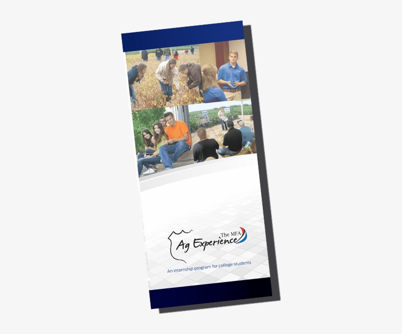 Included In These Programs Are - Banner, transparent png download