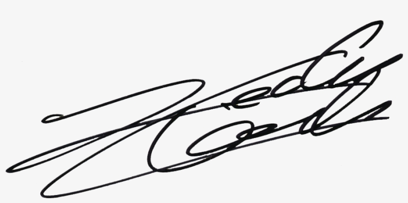 Chalres Lecler F1-driver Signature - Line Art, transparent png download