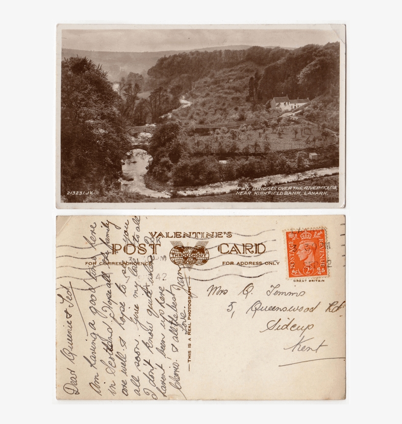 Two - Tree, transparent png download