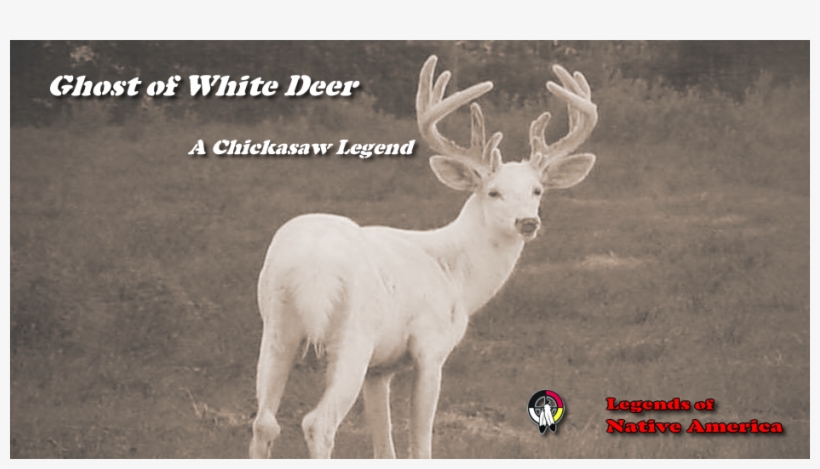 A Brave, Young Warrior For The Chicaksaw Nation Fell - Deer, transparent png download