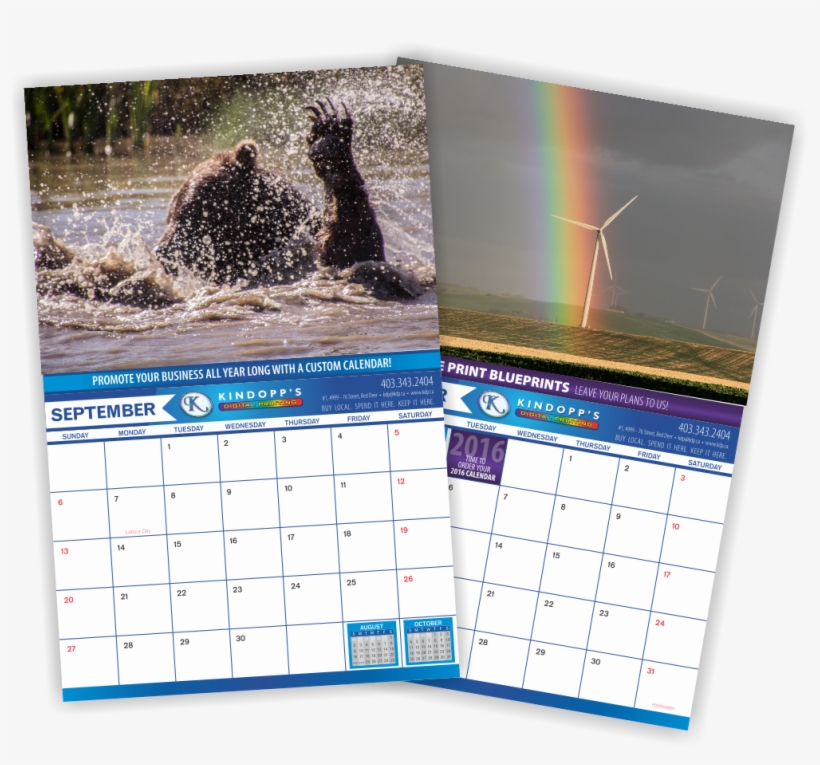 < Click Image To Enlarge > - Ostrich, transparent png download