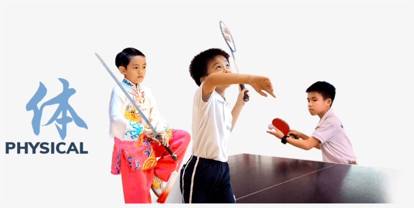 Kung Fu, transparent png download