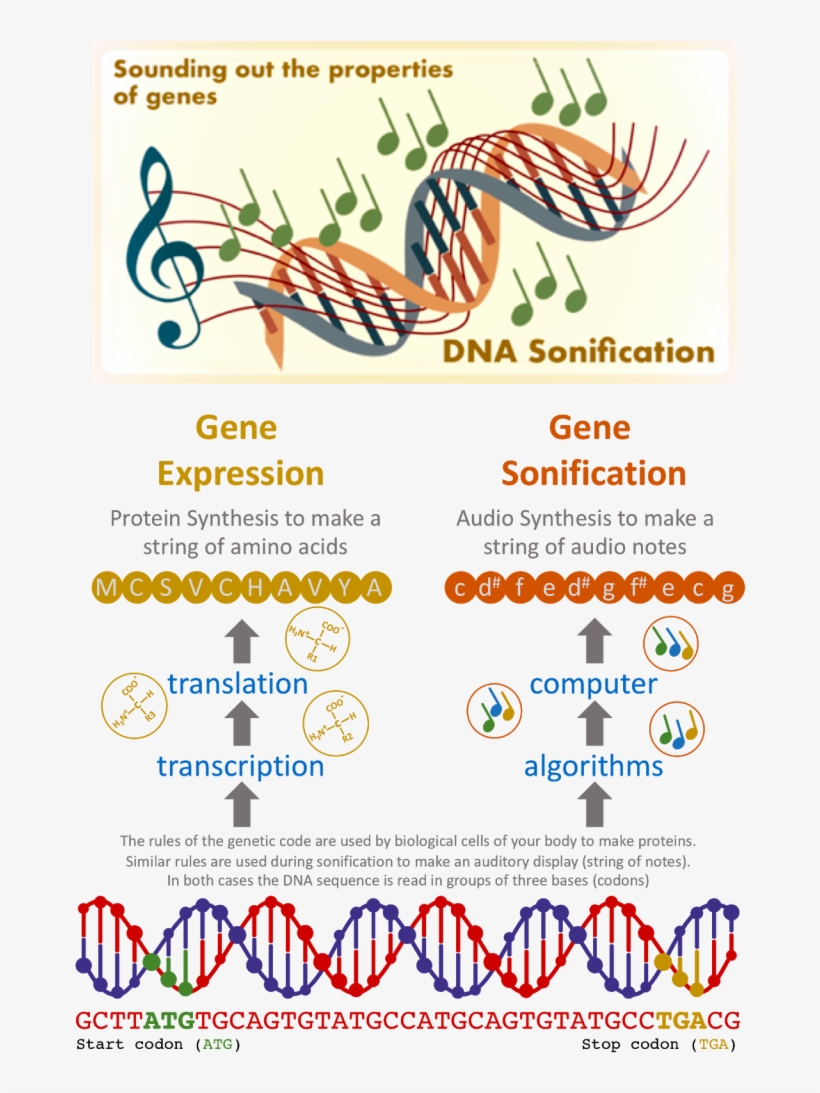 Dr Temple States, “this Is Not Meant To Be Music It's - Graphic Design, transparent png download