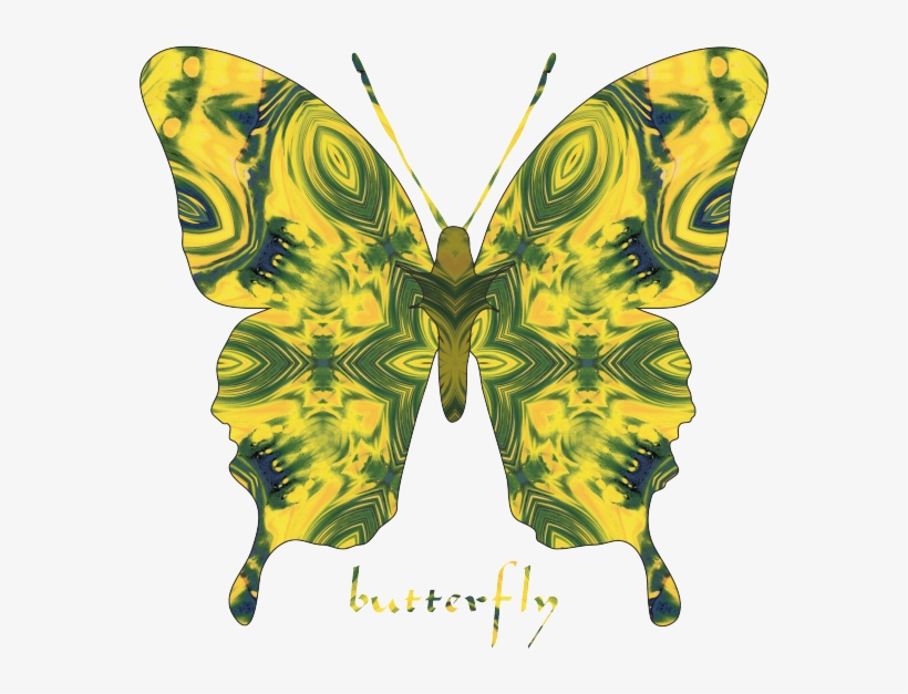 Star Butterfly - Papilio Machaon, transparent png download