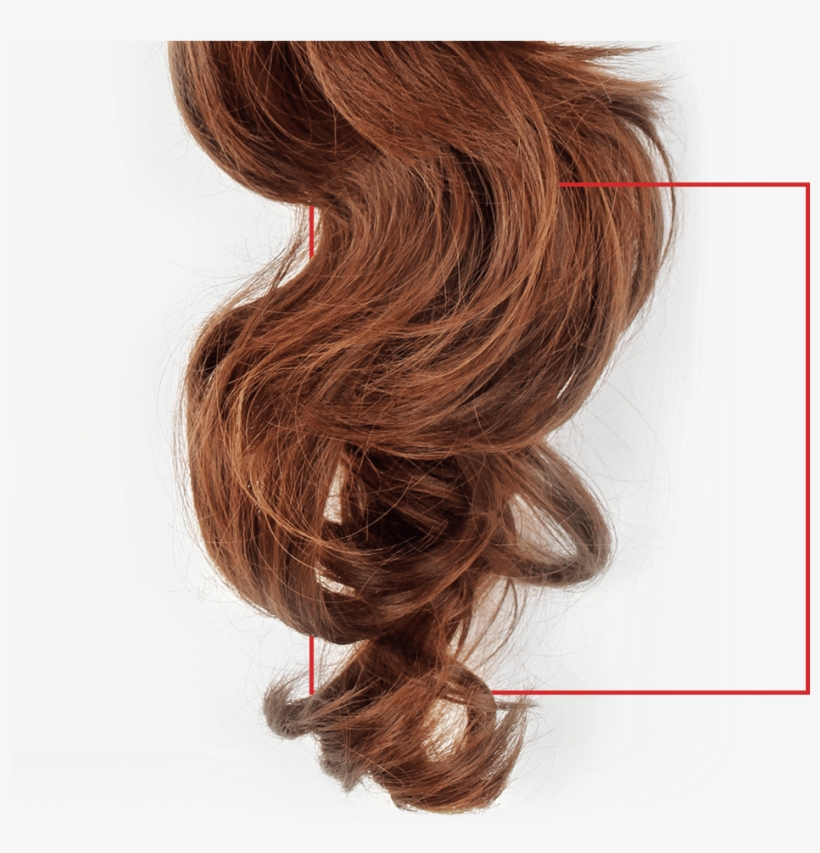 Peluca - Lace Wig, transparent png download