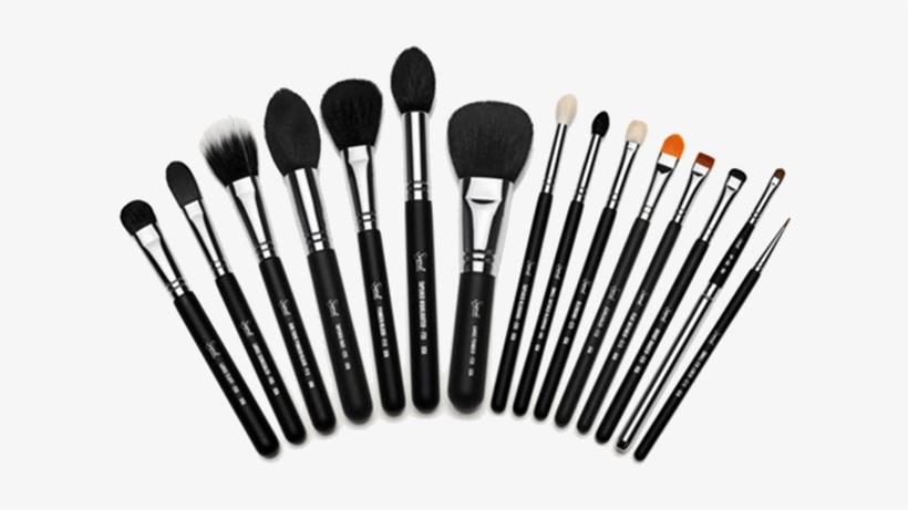 Beginners Guide To Brushes - Sigma Brushes, transparent png download