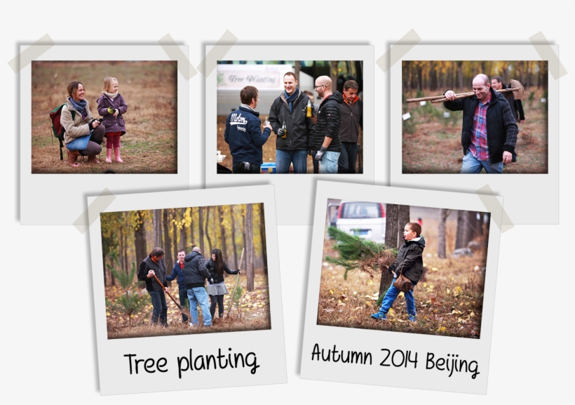 Newsletter 5 Polaroids - Photograph, transparent png download