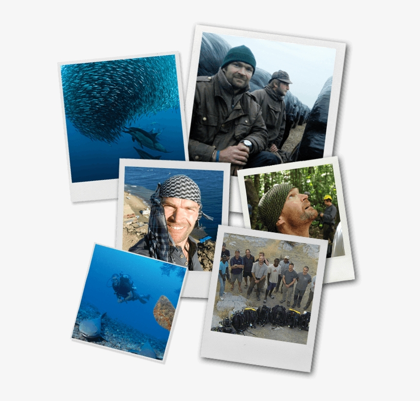 About Monty » Bio Career Polaroids - Collage, transparent png download