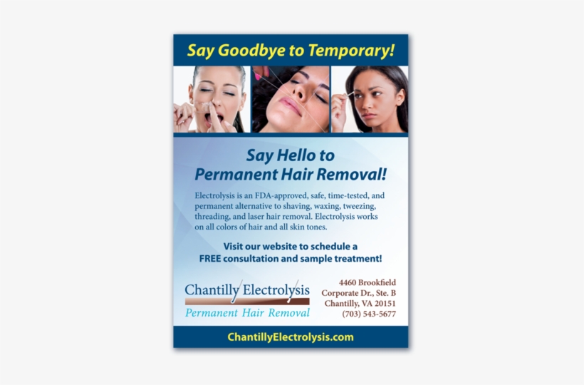 Flyer, transparent png download