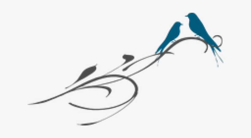 Png Love Birds, transparent png download