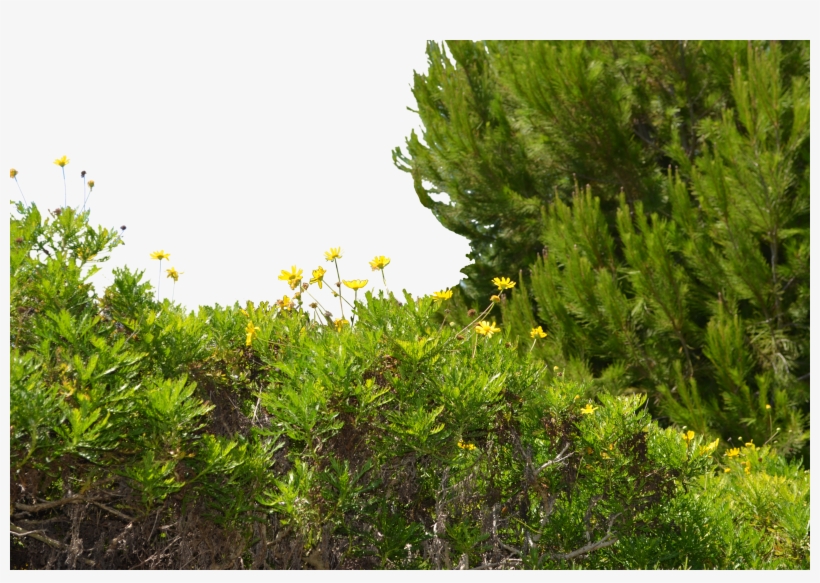 Oo-18, For Mobile Aljanh - Png Wild, transparent png download