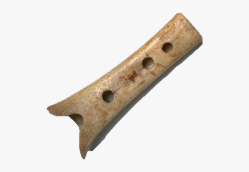 Delightfully, They Also Report On Making A Replica - Bird Bones Flute Png, transparent png download