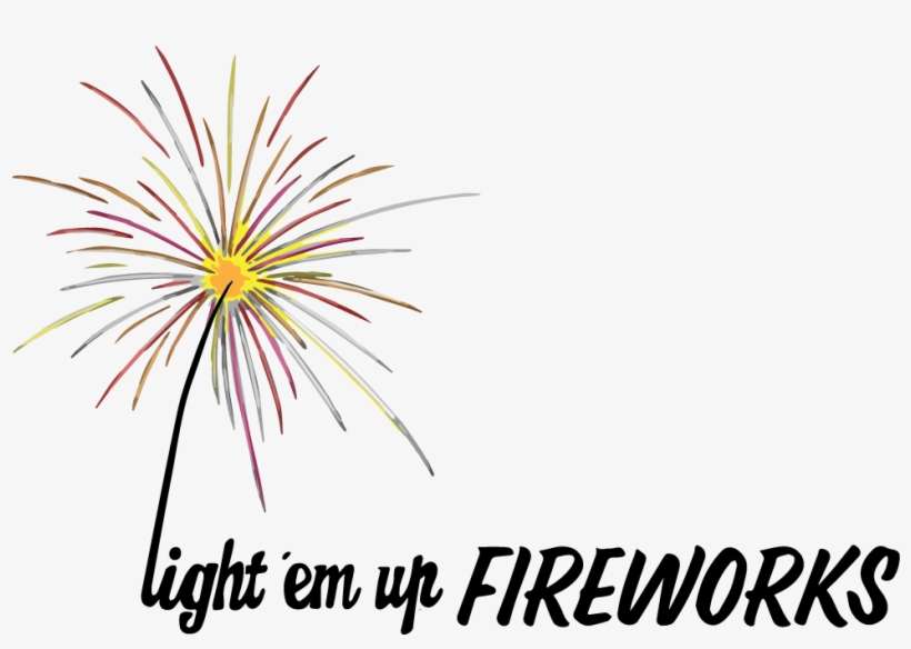 1024 X 667 3 - Fireworks, transparent png download