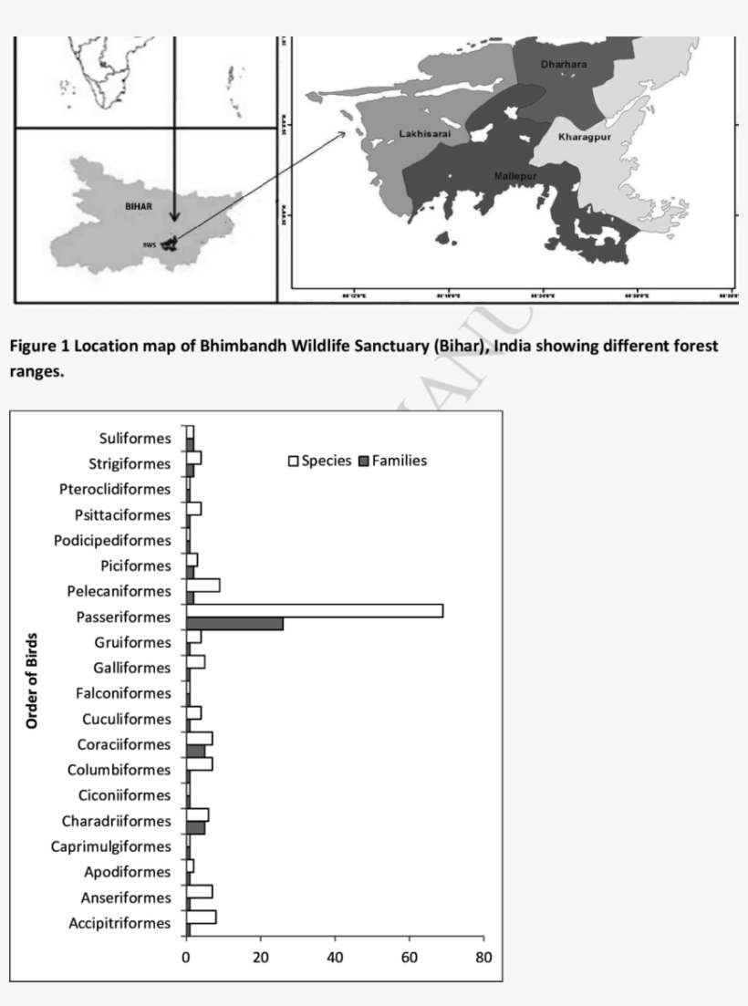 Avian Community Composition Of Bhimbandh Wildlife Sanctuary, - Diagram, transparent png download