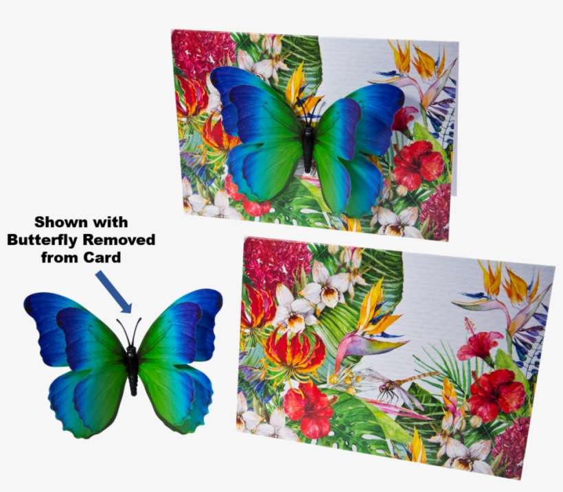 3-d Butterfly Cards - Brush-footed Butterfly, transparent png download