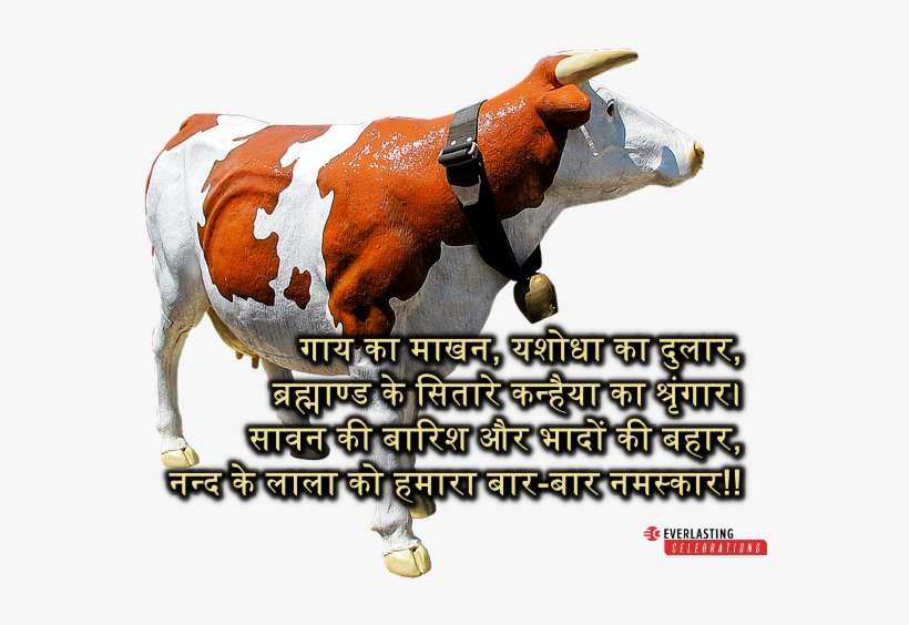 Download Happy Janmashtami In Hindi Messages Dairy Cow Transparent