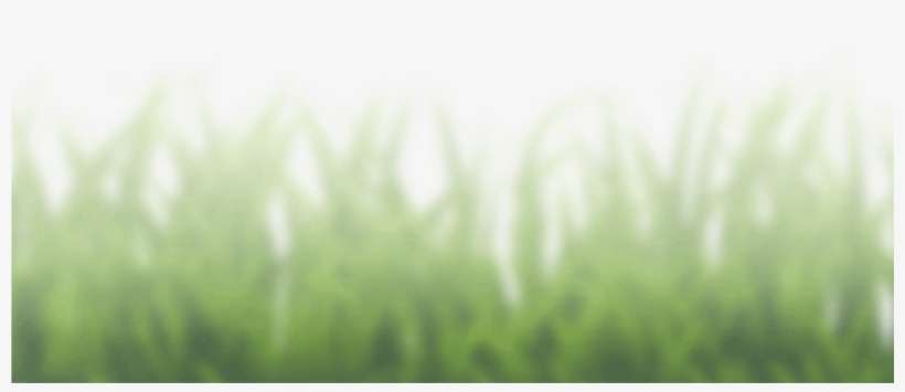 Dyrelykke - Grass, transparent png download