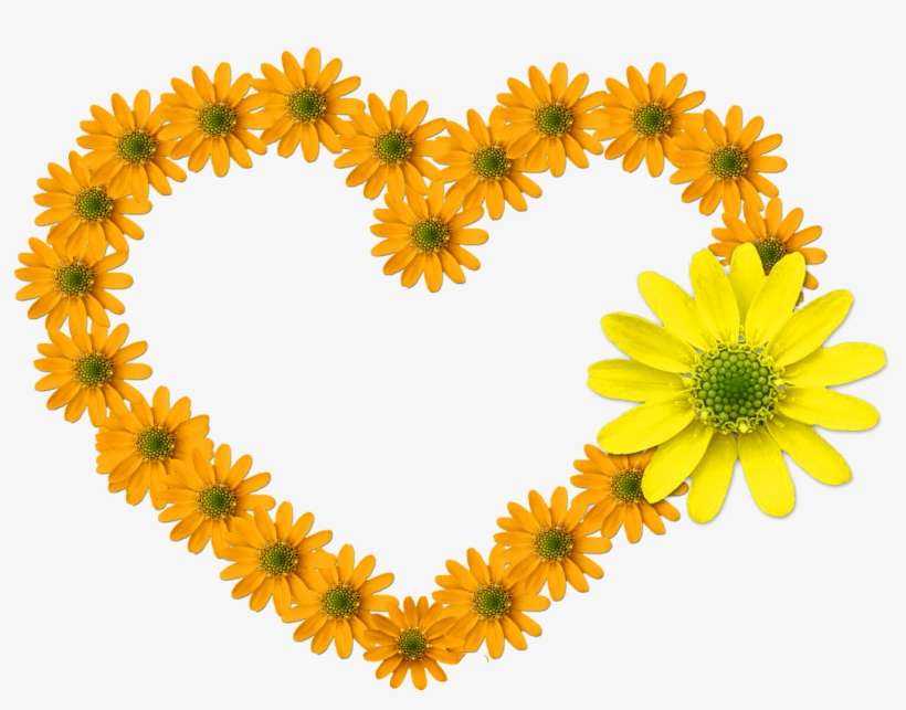 Heart Flower Bloom Feelings Flowers Free Photo From - Heart And Sunflowers, transparent png download