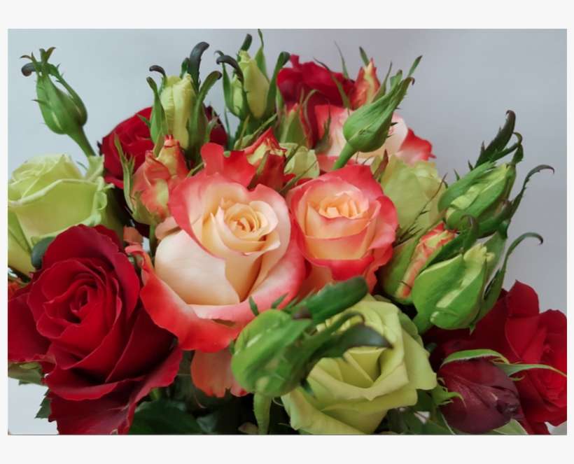 Xmas Victorian Bouquet Exclusive Collection Of Roses - Rose Flowers Collection, transparent png download