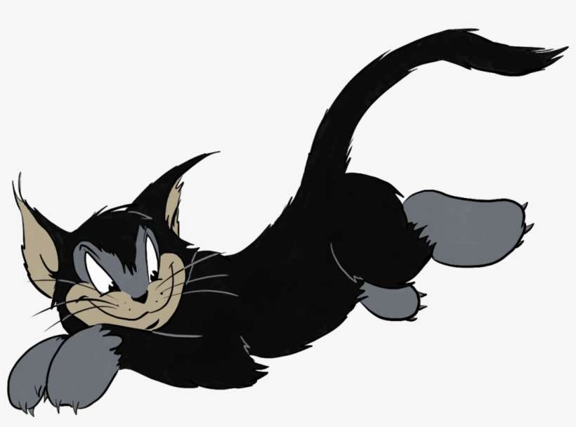 1074 X 744 6 - Tom And Jerry Characters Black Cat, transparent png download