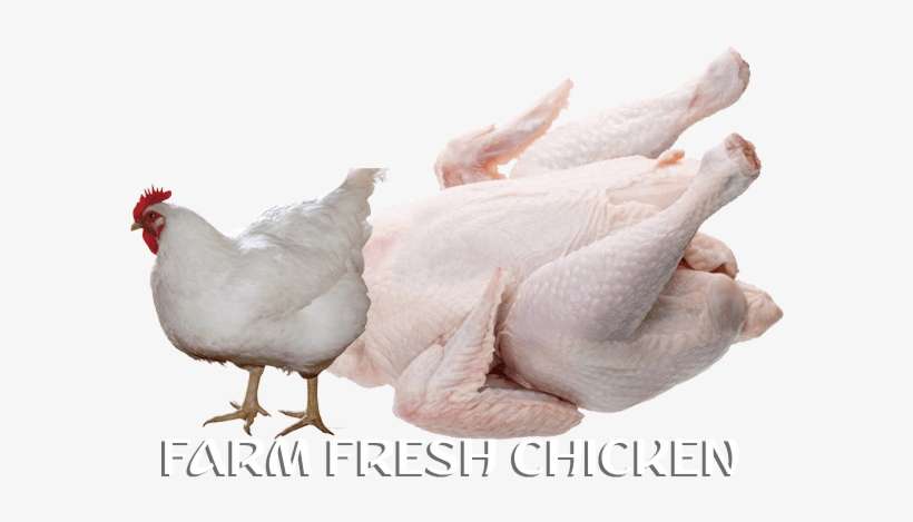 Online Fish In Thrissur,online Meat In Thrissur,online - Broiler Chicken No Background, transparent png download