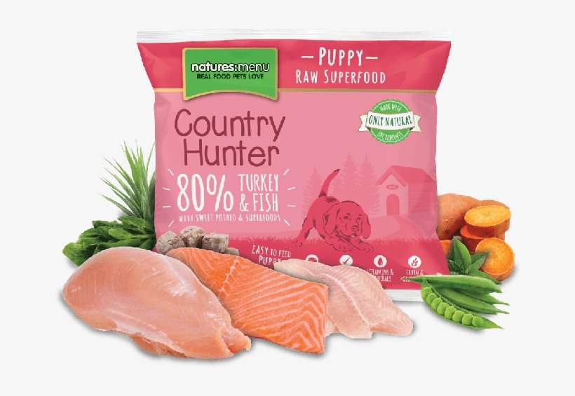 Ch Superpuppy Xl - Country Hunter Hond, transparent png download