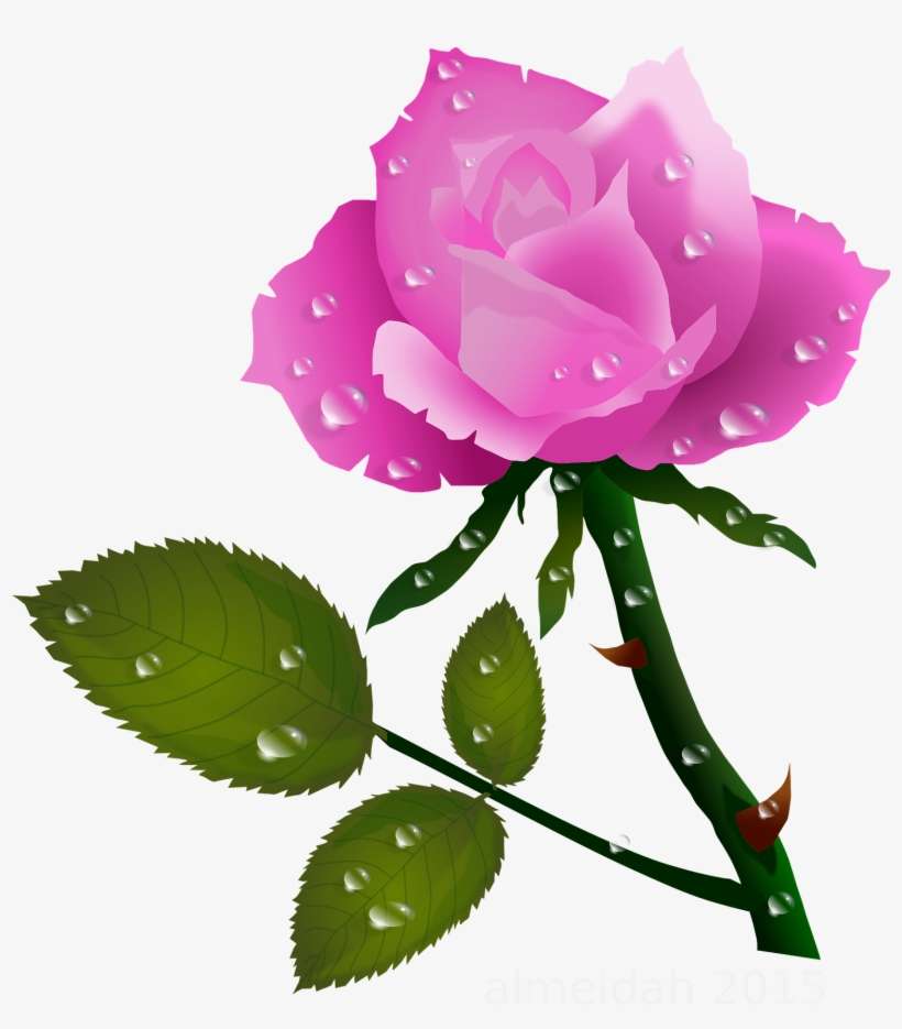 Pink Rose With Water Drops X Clip - Rosas Png, transparent png download