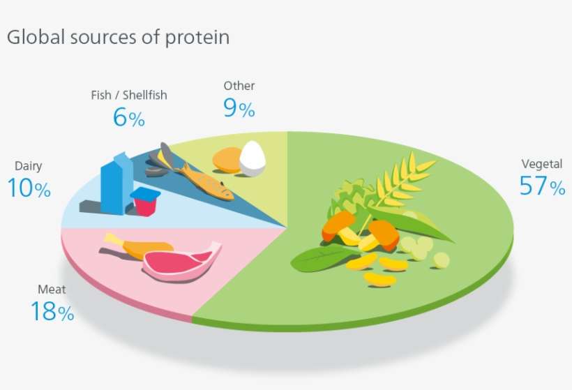 Pressures On The Planet - Global Sources Of Protein, transparent png download