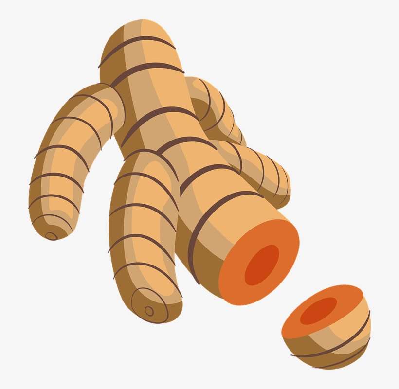 Spices Clipart Seasoning - Turmeric Clipart Png, transparent png download