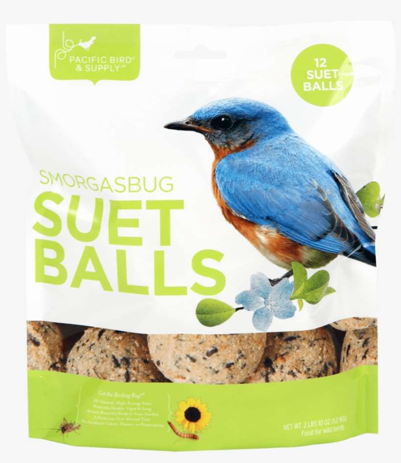 Pb-0103 - Mountain Bluebird, transparent png download