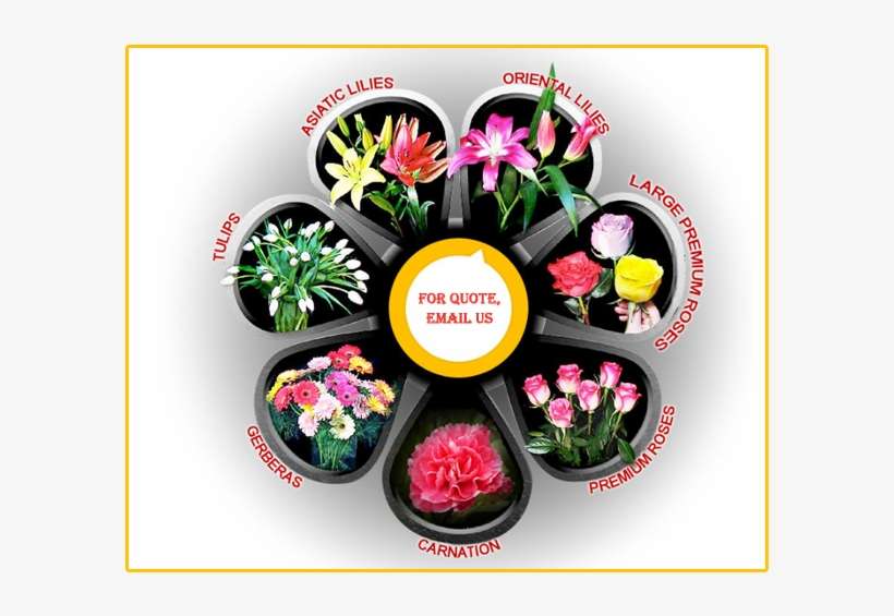 Shortly Launching A New Division Aims At Distribution - Artificial Flower, transparent png download