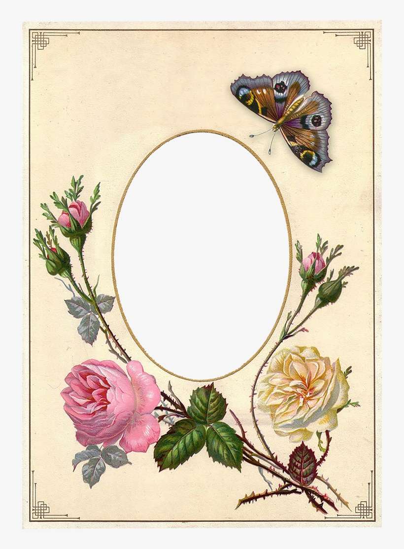 Wings Of Whimsy - Mujer Anciana, transparent png download