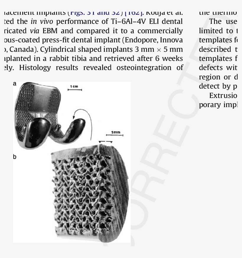 Co 29cr 6mo Femoral Prototype With Mesh Structure Produced - Monochrome, transparent png download