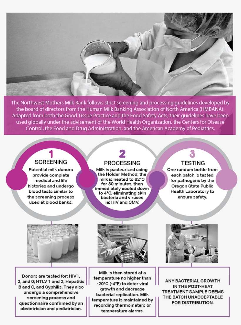 Why Should You Donate Your Milk Instead Of Selling - Flyer, transparent png download