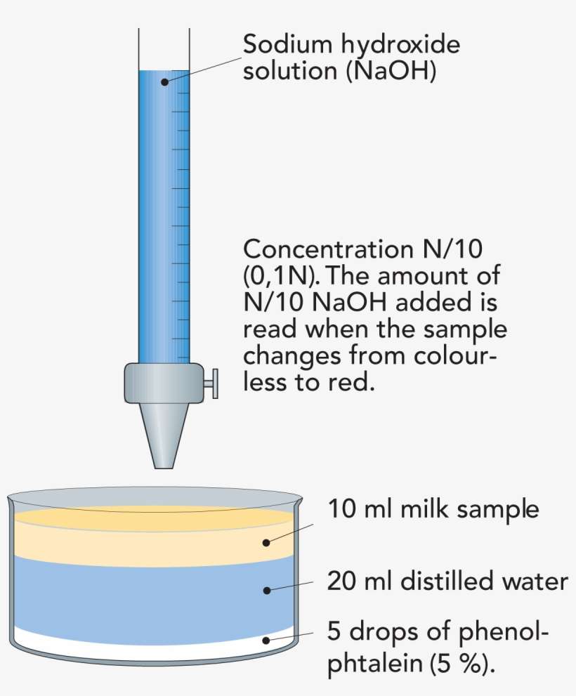 Titratable Acidity - Plumbing Fixture, transparent png download
