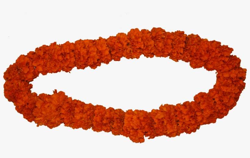 Genda Mala R 40pcs Of Flowers - Marigold Flowers Mala Png, transparent png download