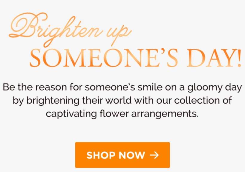 Order Flowers Online In Sri Lanka, Send Gifts In Sri Willkommen Auf