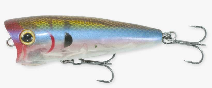 Bloody Ghost Minnow - Bait Fish, transparent png download