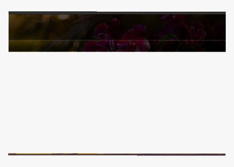 Massagezentrum Oberdorfstrasse 35 3612 Steffisburg - Rose, transparent png download