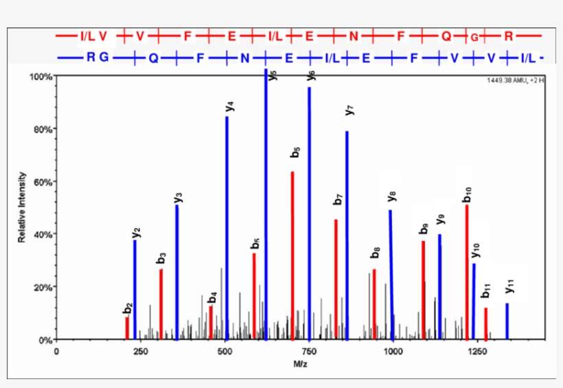 The Final Identified Spectrum - Diagram, transparent png download