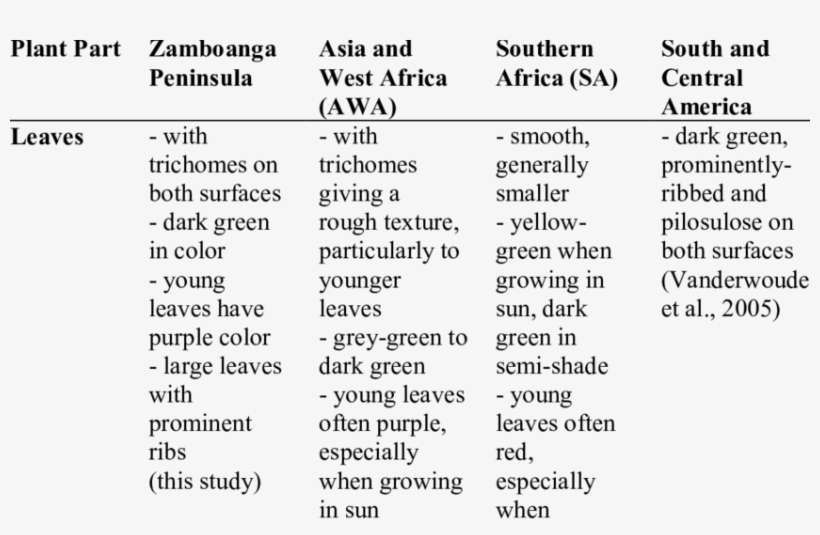 Descriptions Of Plant Parts Of Chromoloaena Odorata - Number, transparent png download