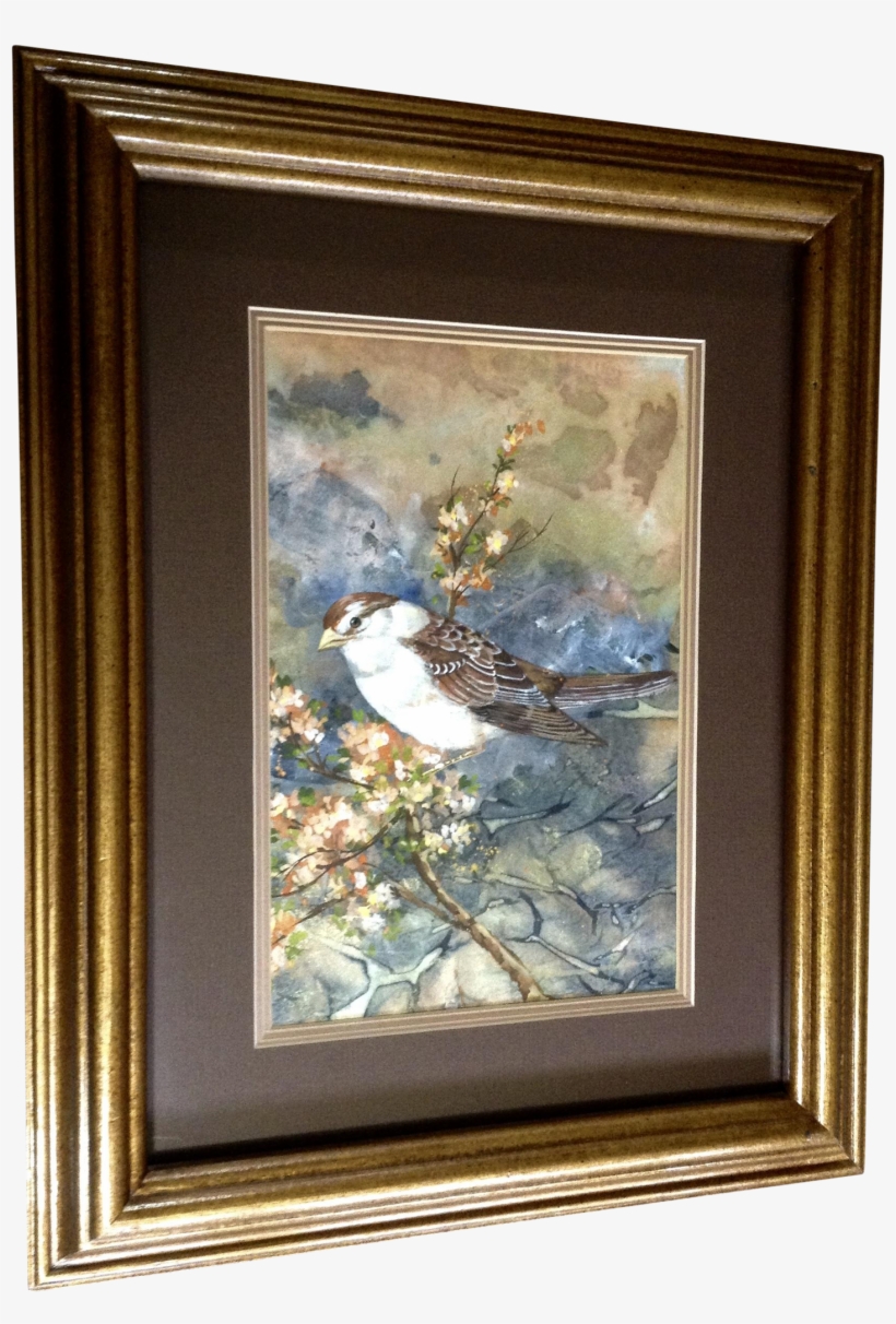 Cecelia Cece Or Cee Rodriguez Watercolor Painting Sparrow - Watercolor Painting, transparent png download