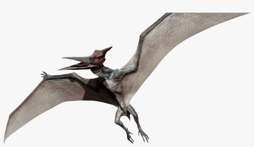 The Pteranodon Looks Awful - Jurassic World Dinosaurs Pterodactyl, transparent png download